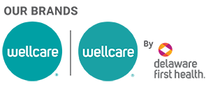Go to Wellcare homepage